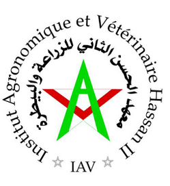 IAV Hassan II
